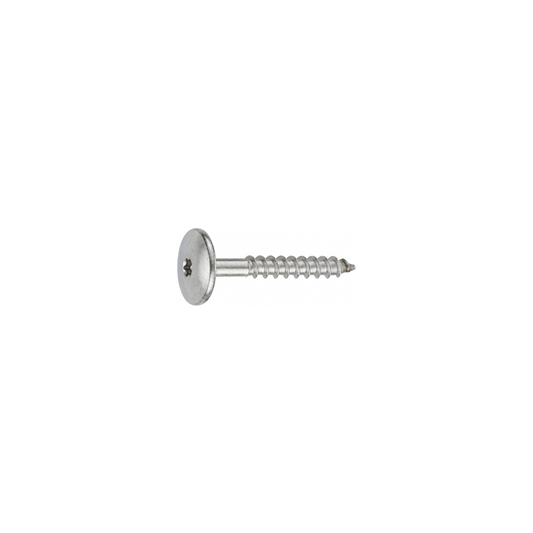 SFS TW-S-D12 Stainless Steel Dome Head Cladding Screw - #10 x 1" (250 Pack)