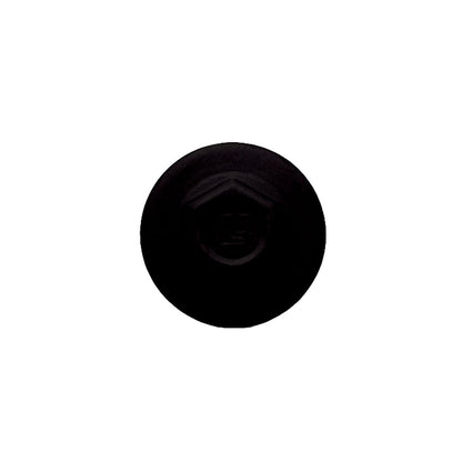 ProCap Reduced Point Cap Screw – #10 x 2" (250 Pack)