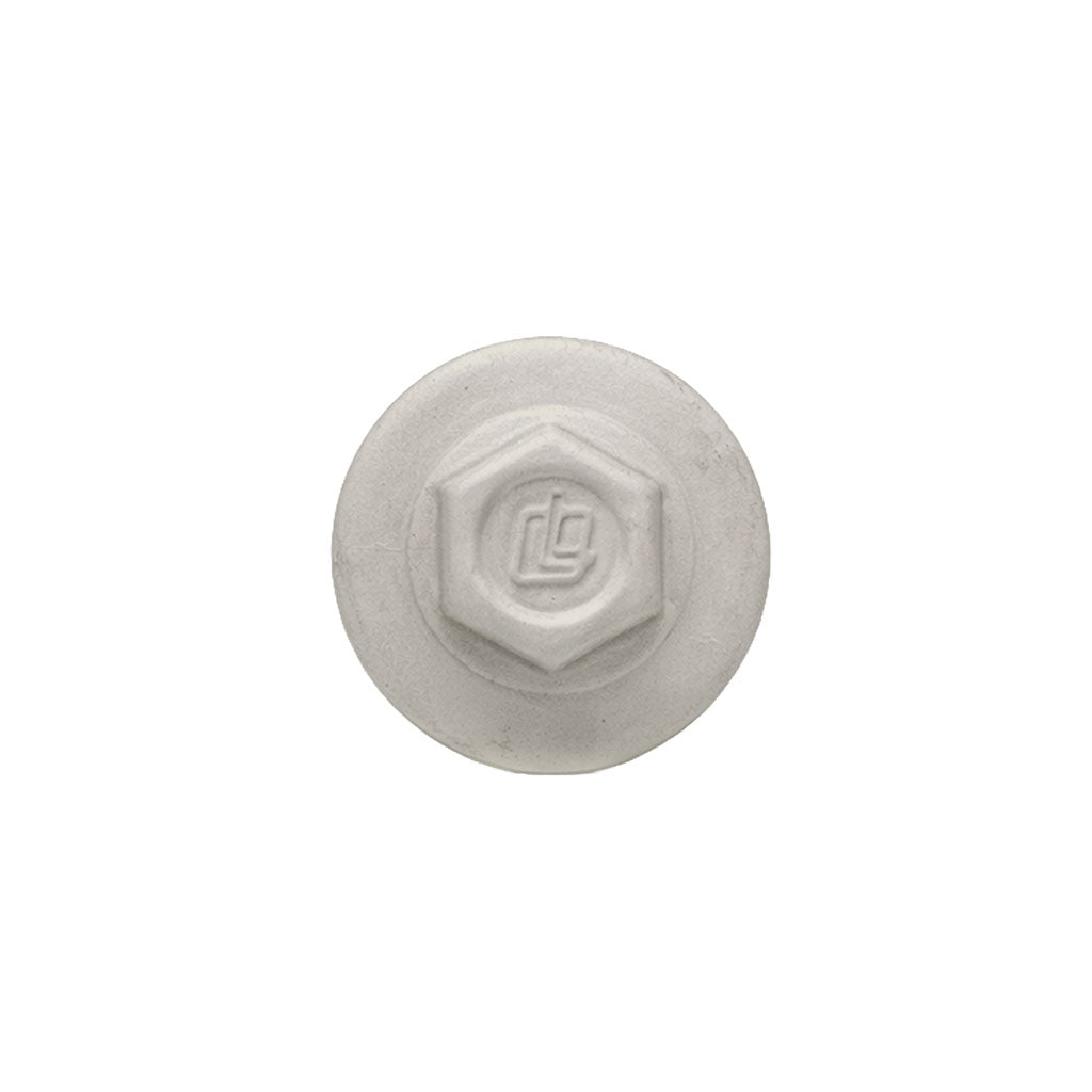 ProCap Reduced Point Cap Screw – #10 x 2" (250 Pack)