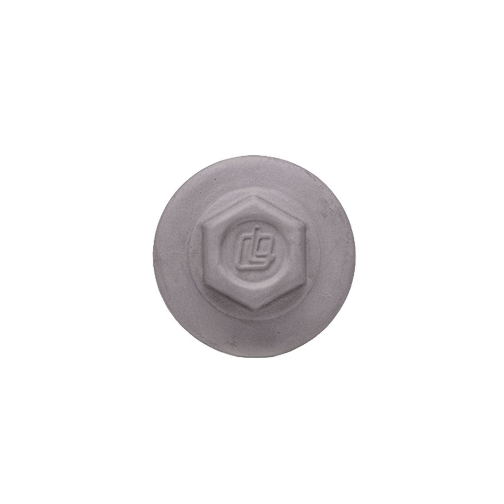 ProCap Reduced Point Cap Screw – #10 x 2" (250 Pack)