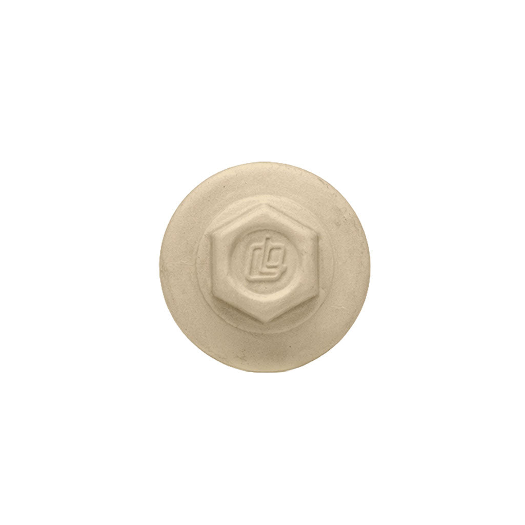 ProCap Reduced Point Cap Screw – #10 x 2" (250 Pack)