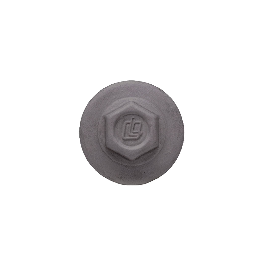 ProCap Reduced Point Cap Screw – #10 x 2" (250 Pack)