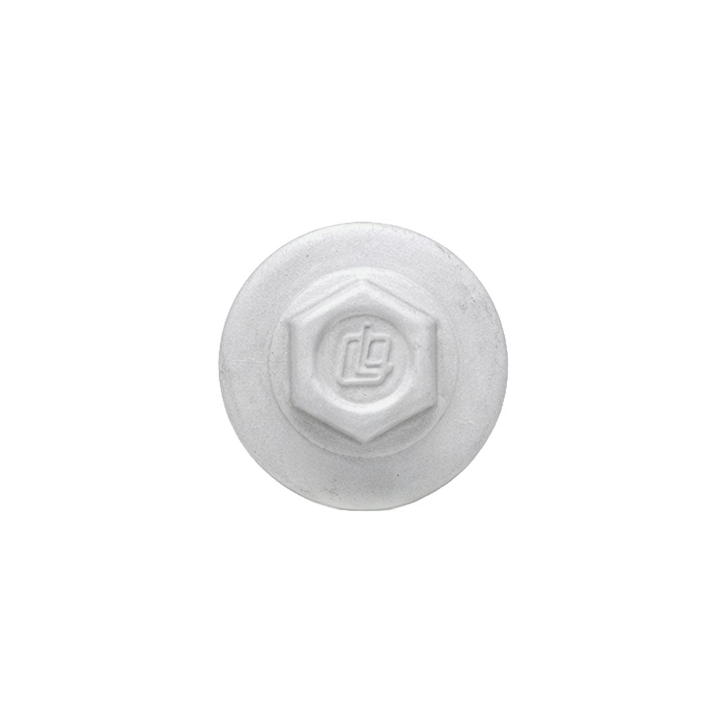 ProCap Reduced Point Cap Screw – #10 x 2" (250 Pack)