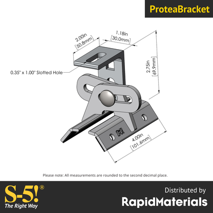 Protea Bracket