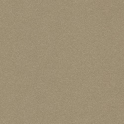 TRESPA Meteon Metallics – RapidMaterials